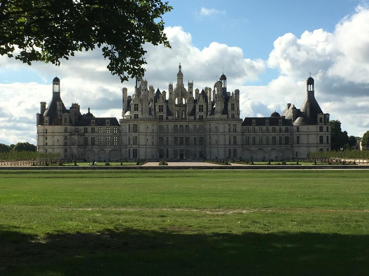 Bed and Breakfast Belem Romorantin-Lanthenay Esterno foto